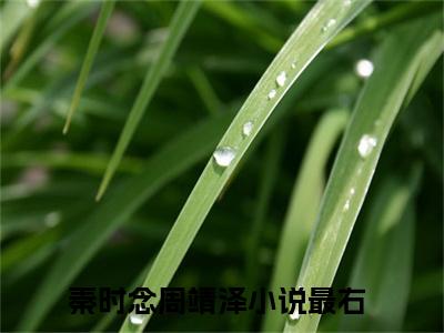 秦时念周靖泽小说(秦时念周靖泽)小说全文免费阅读_（秦时念周靖泽）秦时念周靖泽最新章节列表