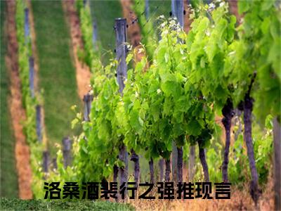 洛桑酒裴行之（洛桑酒裴行之）全集免费阅读无弹窗_(洛桑酒裴行之小说免费阅读)_笔趣阁