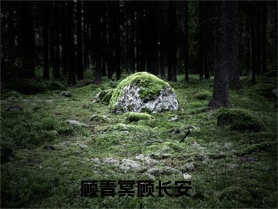 顾青冥顾长安（顾青冥顾长安）小说全文免费阅读正版无弹窗_顾青冥顾长安完结免费阅读无弹窗_笔趣阁