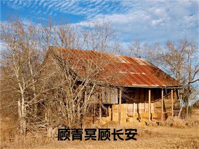 顾青冥顾长安小说大结局完整版阅读，顾青冥顾长安小说全文在线阅读