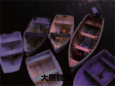 小说（大黑糖糖）最新章节免费阅读-（大黑糖糖）小说全文无删减版