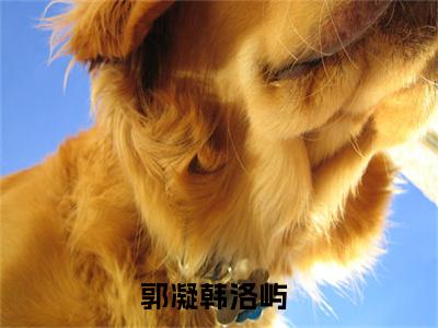 郭凝韩洛屿免费阅读最新章节无弹窗 郭凝韩洛屿完整版小说在线阅读