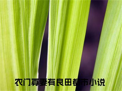 小说（沈音秦时宸）农门寡妻有良田全文阅读-精彩美文沈音秦时宸免费阅读