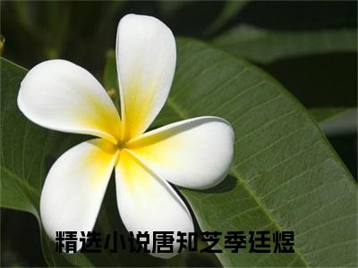 唐知芝季廷煜（唐知芝季廷煜）全文免费阅读无弹窗大结局_唐知芝季廷煜最新章节列表_笔趣阁（唐知芝季廷煜）