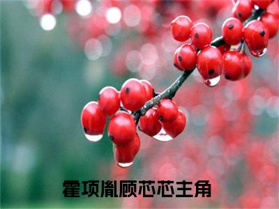 霍项胤顾芯芯全文免费阅读无弹窗大结局_霍项胤顾芯芯免费阅读最新章节列表_笔趣阁（霍项胤顾芯芯）