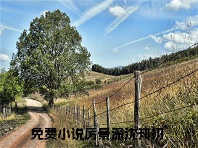 厉景深沈知初全文阅读-厉景深沈知初小说全文免费阅读_厉景深沈知初最新章节列表_笔趣阁