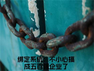 苏文方馨怡绑定系统：不小心搞成五百强企业了免费阅读大结局无弹窗-苏文方馨怡小说推荐绑定系统：不小心搞成五百强企业了精彩章节在线阅读