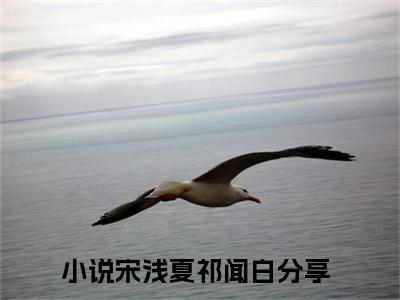 宋浅夏祁闻白小说免费阅读(宋浅夏祁闻白)全文免费阅读无弹窗大结局_ 宋浅夏祁闻白最新章节列表_笔趣阁（宋浅夏祁闻白小说）