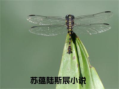 苏蕴陆斯宸（暗恋成真：掌权新贵他官宣了）免费全文阅读小说_苏蕴陆斯宸最新章节列表-笔趣阁（暗恋成真：掌权新贵他官宣了）