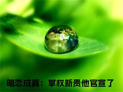 精选热门小说苏蕴陆斯宸（暗恋成真：掌权新贵他官宣了）-（暗恋成真：掌权新贵他官宣了）苏蕴陆斯宸免费阅读