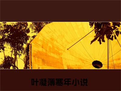 叶凝薄寒年(叶凝薄寒年)全文在线阅读无弹窗大结局_叶凝薄寒年全文无弹窗最新章节列表_笔趣阁