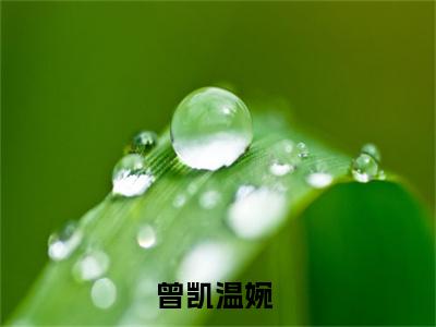 曾凯温婉大结局全文免费阅读最新章节_曾凯温婉大结局