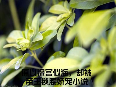 陆芷鸢沈君樾原以深宫似海，却被帝王锁腰娇宠完整全文在线阅读原以深宫似海，却被帝王锁腰娇宠抖音热推小说全集无删减