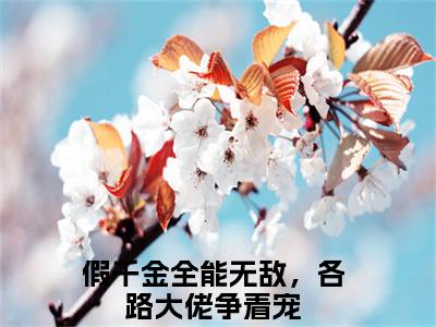 苏云晚沈京墨小说全文免费阅读（假千金全能无敌，各路大佬争着宠）全文免费阅读无弹窗大结局