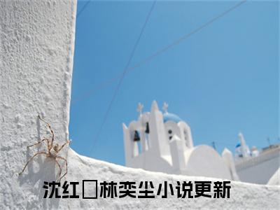 枫林尽染尘埃定（沈红葉林奕尘）全文免费阅读无弹窗_沈红葉林奕尘最新小说_笔趣阁（枫林尽染尘埃定）