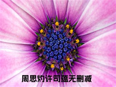 周思灼许司蕴小说（周思灼许司蕴）全文免费阅读无弹窗大结局_周思灼许司蕴小说最新章节列表_笔趣阁（周思灼许司蕴）