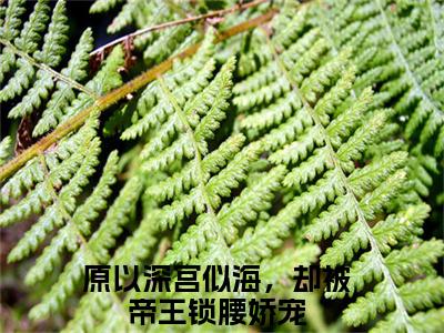 陆芷鸢沈君樾大结局全文免费阅读最新章节_原以深宫似海，却被帝王锁腰娇宠大结局