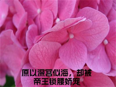 陆芷鸢沈君樾全文免费阅读_（原以深宫似海，却被帝王锁腰娇宠免费阅读无弹窗）陆芷鸢沈君樾最新章节列表笔趣阁