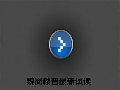 抖音热推魏岚楼晋无弹窗阅读魏岚楼晋小说免费阅读无弹窗