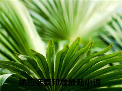 徐应淮姜知意小说(徐应淮姜知意)全文免费阅读_徐应淮姜知意（徐应淮姜知意）最新章节完整版免费阅读（徐应淮姜知意）