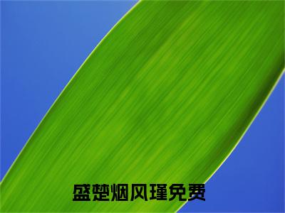 盛楚烟风瑾小说(盛楚烟风瑾)全文免费阅读无弹窗大结局_(盛楚烟风瑾小说全文大结局)最新章节列表_笔趣阁（盛楚烟风瑾）