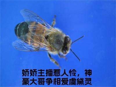 娇娇主播惹人怜，神豪大哥争相爱虞黛灵（娇娇主播惹人怜，神豪大哥争相爱虞黛灵）全文免费阅读无弹窗大结局_(娇娇主播惹人怜，神豪大哥争相爱虞黛灵免费阅读)最新章节列表_笔趣阁