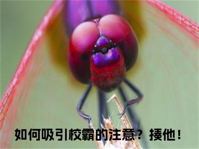 沈千依安洛璟小说免费（如何吸引校霸的注意？揍他！）全文免费阅读无弹窗-如何吸引校霸的注意？揍他！小说全文免费阅读最新章节列表