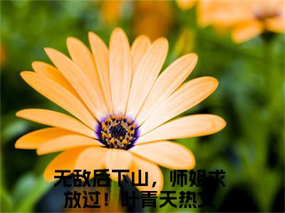 无敌后下山，师姐求放过！叶青天（无敌后下山，师姐求放过！叶青天）最新章节免费阅读全文-完结小说无敌后下山，师姐求放过！叶青天在线阅读