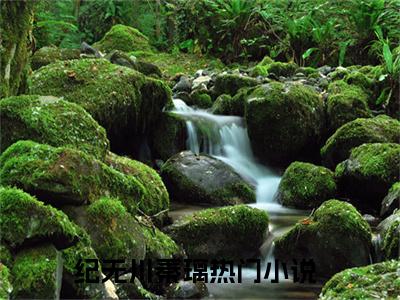 超多人求的小说（纪无川秦璃）在哪里看免费的纪无川秦璃精彩阅读