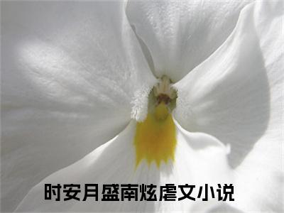 爆款小说《时安月盛南炫》主角时安月盛南炫全文在线完本阅读