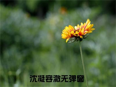 节青梅太娇软，竹马王爷视她如命（沈凝容澈）火热新书无弹窗大结局_（节青梅太娇软，竹马王爷视她如命）沈凝容澈最新章节列表_笔趣阁