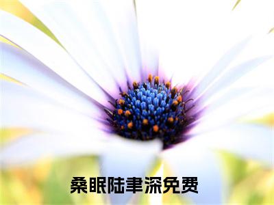 桑眠陆聿深无广告小说免费阅读，桑眠陆聿深完结小说在线阅读