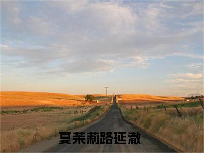 夏茉莉路延澈阅读无弹窗大结局_夏茉莉路延澈穿越小说免费阅读_笔趣阁