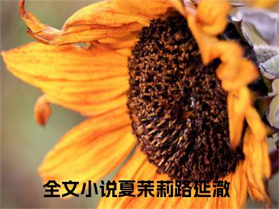 夏茉莉路延澈小说全文免费阅读（夏茉莉路延澈）全文免费阅读无弹窗大结局_（夏茉莉路延澈）夏茉莉路延澈结局最新章节列表_笔趣阁（夏茉莉路延澈）