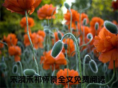 宋漪禾祁怀景（宋漪禾祁怀景）小说全文免费阅读无弹窗_（宋漪禾祁怀景）最新章节列表_笔趣阁