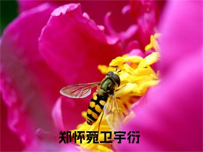 郑怀菀卫宇衍全文(郑怀菀卫宇衍)全文免费阅读无弹窗大结局_ 郑怀菀卫宇衍全文免费阅读最新章节列表_