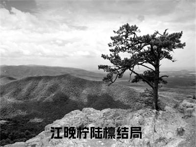 江晚柠陆檩小说（江晚柠陆檩）免费阅读全文无弹窗大结局_江晚柠陆檩免费阅读无弹窗小说_小说笔趣阁