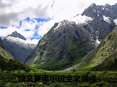 盛又夏离小说免费下载阅读_（盛又夏傅时律）盛又夏离最新章节列表_笔趣阁（盛又夏傅时律）