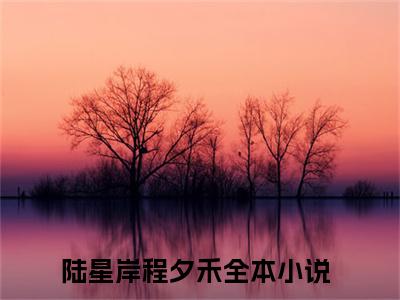 陆星岸程夕禾（陆星岸程夕禾）全文免费阅读无弹窗大结局_陆星岸程夕禾全文免费阅读（陆星岸程夕禾）最新章节列表_笔趣阁（陆星岸程夕禾）