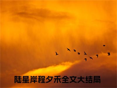 陆星岸程夕禾（陆星岸程夕禾）全文免费阅读无弹窗_陆星岸程夕禾最新小说_笔趣阁（陆星岸程夕禾）