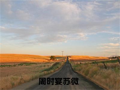 周时宴苏微后续+番外（周时宴苏微）全文免费阅读无弹窗大结局_（周时宴苏微后续+番外）周时宴苏微免费阅读无弹窗最新章节列表（周时宴苏微后续+番外）