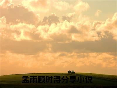 孟雨顾时浔小说最后结局(孟雨顾时浔)完结版免费阅读