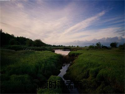 （顾时浔孟雨）全文免费阅读无弹窗大结局_（顾时浔孟雨小说免费阅读）顾时浔孟雨最新章节列表_笔趣阁（顾时浔孟雨小说免费阅读）