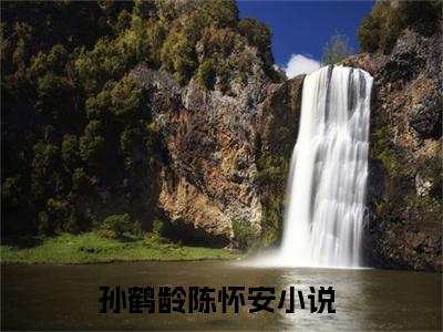 孙鹤龄陈怀安全文（觉醒系统后，一夜坐拥80万精骑）抖音热推小说全集无删减_觉醒系统后，一夜坐拥80万精骑免费最新章节列表_笔趣阁