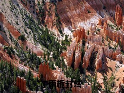 丁雨栀封域（丁雨栀封域）全文完整版免费阅读_（丁雨栀封域小说免费阅读）最新章节列表