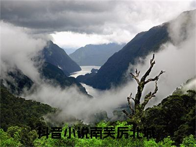 南芙厉北城（南芙厉北城）精彩热门小说无弹窗-南芙厉北城全文免费阅读