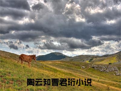 陶云知曹君珩（陶云知曹君珩）小说免费阅读-（陶云知曹君珩）抖音新书热荐