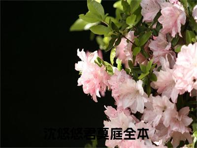 沈悠悠君莫庭（沈悠悠君莫庭免费阅读无弹窗）-沈悠悠君莫庭最新章节列表沈悠悠君莫庭全文无删减版