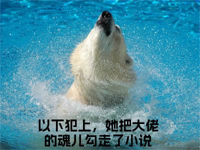 以下犯上，她把大佬的魂儿勾走了小说免费（陶鱼宋鹤城）全文免费阅读无弹窗-以下犯上，她把大佬的魂儿勾走了小说全文免费阅读-笔趣阁