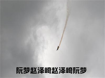 赵泽崎阮梦全文免费阅读无弹窗大结局_（阮梦赵泽崎在线阅读）赵泽崎阮梦最新章节完整版阅读